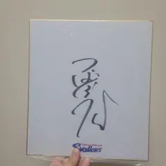 2026年最新】つば九郎 サインボールの人気アイテム - メルカリ