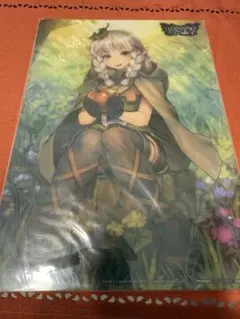 ドラゴンズクラウン　WonderGOO特典
