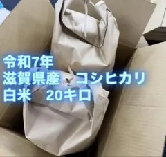 令和7年産 石川県産 コシヒカリ約 20kg玄米(白米約18キロ) - メルカリ