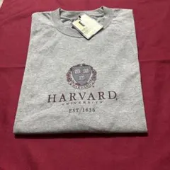 HARVARD 大学ギアフォースポーツビッグコットンLサイズ新品未使用