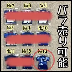 チャスティさま専用　1点