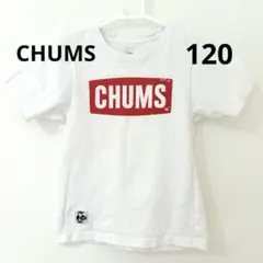 CHUMS 110 120 130 チャムス 半袖 ボックスロゴ