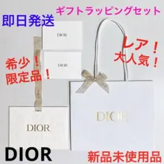 希少！限定品！ギフトラッピングセット　ショップ袋　ギフトボックス　新品　dior