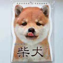 柴犬 フォトカレンダー 壁掛け 2023 令和五年 柴犬カレンダー 可愛い 動物のサムネイル