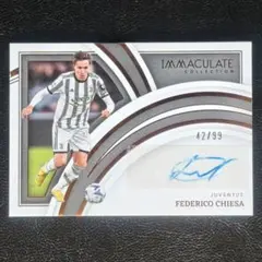 PANINI ファビオ・カンナバーロ 直筆サイン auto パラレル - メルカリ