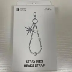 2026年最新】slbs straykids イヤホンの人気アイテム - メルカリ