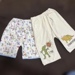 トイレ トレーニング ズボン おねしょ 綿100% コットン 恐竜ダイナソーのサムネイル