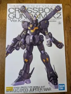 (未使用･未開封品)　1/100 クロスボーンガンダムX-2　ガレージキット og8985z 未使用・未開封品) 1/100 クロスボーンガンダムX-2 ガレージ