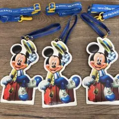東京ディズニーリゾート ストラップ付きパスケース　3点セット　非売品