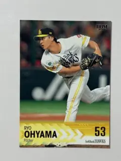 プロ野球オーナーズリーグ 高谷裕亮 福岡ソフトバンクホークス 2014