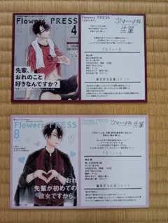 2026年最新】TSUTAYA私の彼氏棚の人気アイテム - メルカリ
