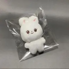 セブチ　ジョシュア　ジョンハン　10cm ぬいぐるみ　新品　マスター ジョンハン ジョシュア ぬいぐるみ 10cm 新品 マスター セブチ svt