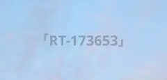 「RT-173653」