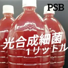 ryuhei様 リクエスト 2点 まとめ商品