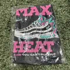 XL ダークグレー ナイキ エアマックス95 Tシャツ 炎 限定 - メルカリ