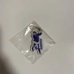 中日ドラゴンズ ガチャ プレーヤーズ目印チャーム　　ビジターユニ　岡林勇希