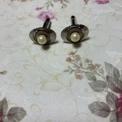 Item thumbnail for item d5529caf-29dc-474f-b2fe-cdd56c1ad73e