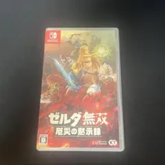 ゼルダ無双 厄災の黙示録 Nintendo Switch