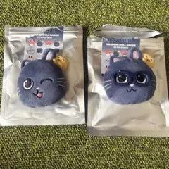 RIIZE ペンミ　ランダムドールバッジ　ウォンビン　２個セット