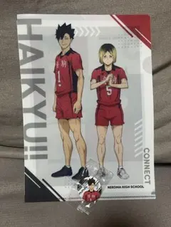 ハイキュー!!くら寿司コラボ 音駒高校 クリアファイル 缶バッジ