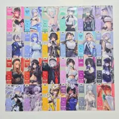 勝利の女神：NIKKE メタリックパスコレクションVer.3 全24種フルコンプ