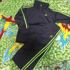 Item thumbnail for item a4a9f5e0-fc5d-4b01-a042-9561b5cc0835