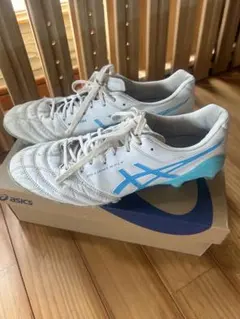 アシックス DS LIGHT X-FLY5 26.5センチ