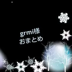 grmi様 リクエスト 2点 まとめ商品