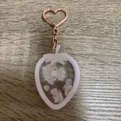 マイメロ 白いちご シークレットアクリルキーホルダー サンリオ