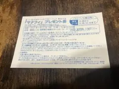 希少 マナフィ プレゼント券 ハガキ 当時物