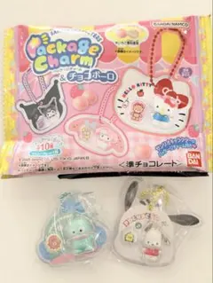 サンリオキャラクターズ パッケージチャーム＆チョコボーロ 2個セット
