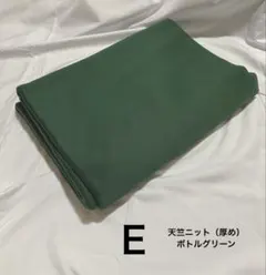 Ｅ　天竺ニット （厚め ）ボトルグリーン