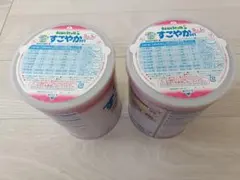 ビーンスターク すこやか 大缶 800g 粉ミルク２缶セット