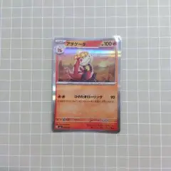アチゲータ スカーレット&バイオレット スターターセット テラスタル ラウドボ…
