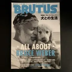 A LETTER TO TRUE & BRUTUS特集号非売品ポスター2枚セット A LETTER TO TRUE & BRUTUS特集号非売品ポスター2枚セット