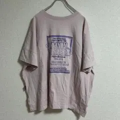 JaVa ジャヴァ ロゴ刺繍 ビッグT オーバーサイズ 半袖 くすみカラーのサムネイル