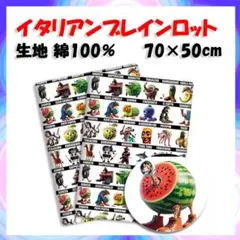 新品　イタリアンブレインロット 生地　布 幅70×縦50cm　綿100%　白