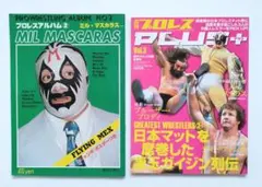 Item thumbnail for item e615708b-3501-4102-86db-59e8ee29d108