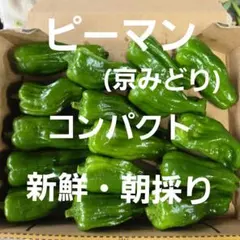 ブランド兵庫県産 万願寺とうがらし 栽培期間中農薬不使用 - メルカリ