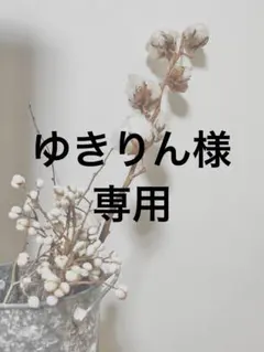 ゆきりん様 リクエスト 3点 まとめ商品