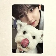 ZB1　ユジン　デジパック　All ver レオ　犬　トレカ