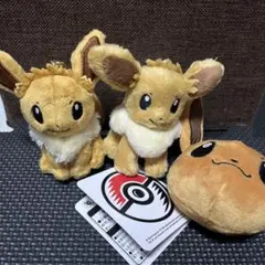 포켓몬 センター 포켓몬 カラビナ付きマスコット イーブイ その他セット