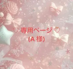 専用ページ (A 様)