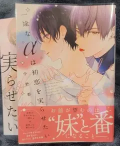 2026年最新】ヴァイス 『好き』という気持ち 澪の人気アイテム - メルカリ