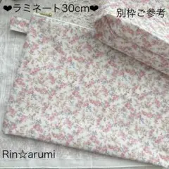 ❤︎感謝価格❤︎リバティ♡ラミネート特大サイズポーチ♡ムーンモスのサムネイル