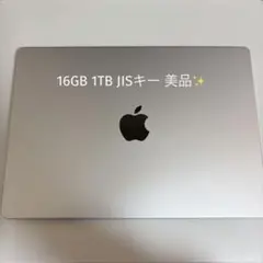 MacBook Pro M4 16gb 1tb 充放電54 最大容量100