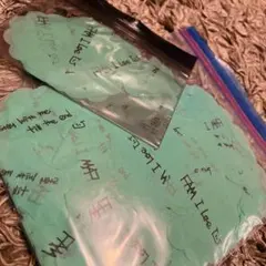 Item thumbnail for item a03d035d-95fd-40ce-8c6a-6f419a447b62