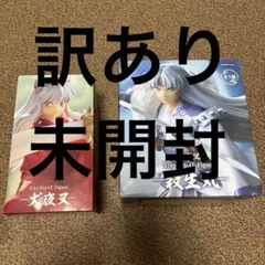 Item thumbnail for item 455c29eb-832b-4f78-be42-0edc81d62f9d