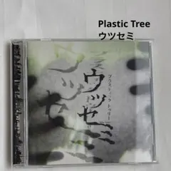 【匿名配送】Plastic Tree ウツセミ