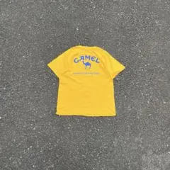 Item thumbnail for item 1e70700c-56f4-4759-a89d-7c4269b6cf83